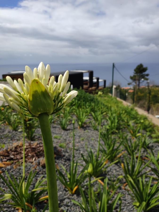 Calheta Glamping Pods - New Concept