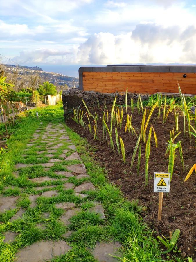 Luxe tent Calheta Glamping Pods - New Concept