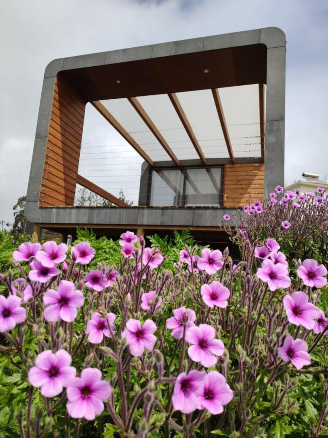 Campo de lujo Glamping Pods - Nature Retreat *